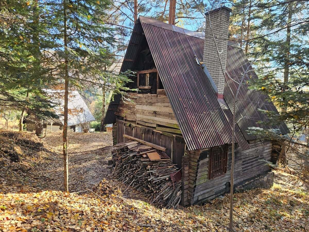 Predam chatu s pozemkom 1978m2 Drienica - 6