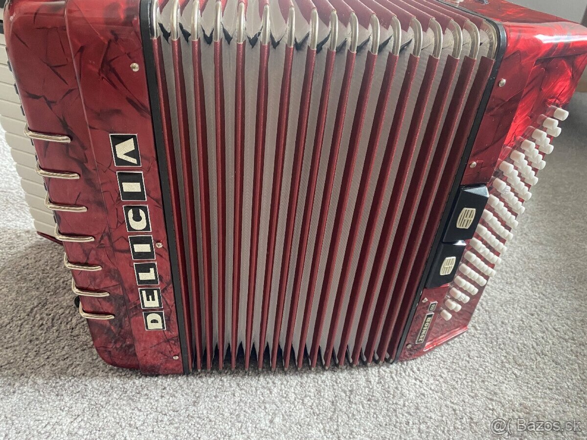 Akordeon/harmonika Delicia Junior 72-bas - 6