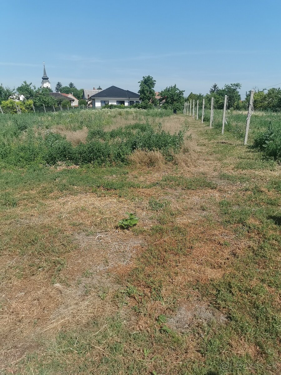 Na predaj poschodový rodinný dom - 6