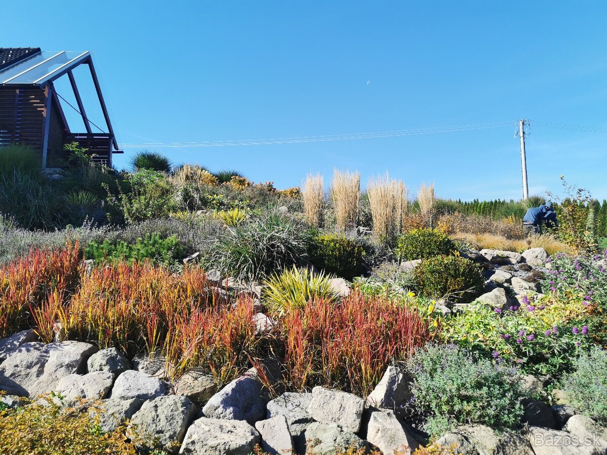 ✨ GREENMAMBA GARDEN – záhrady, do ktorých sa budete chcieť v - 6