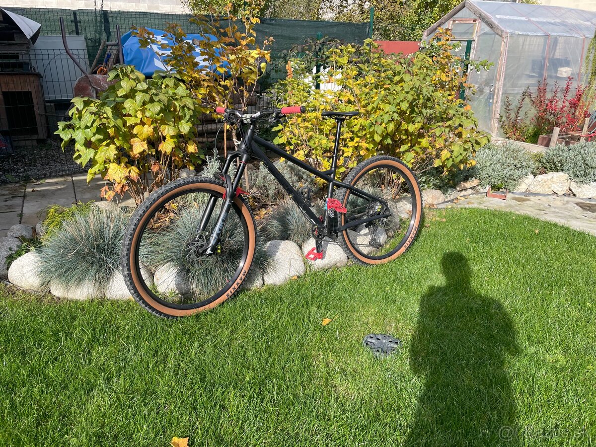 On One Hello Dave - 6