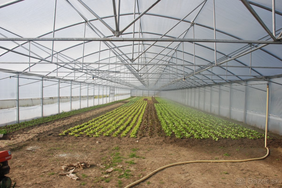 agrofólia na fóliovníky UV fólia 200 mikr. - 6