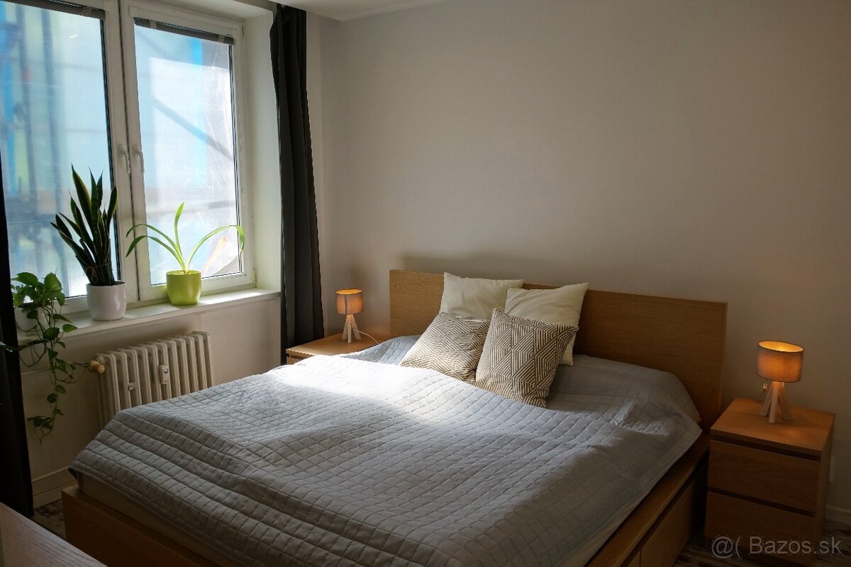 Prenájom 2 izbového bytu Nivy - 6