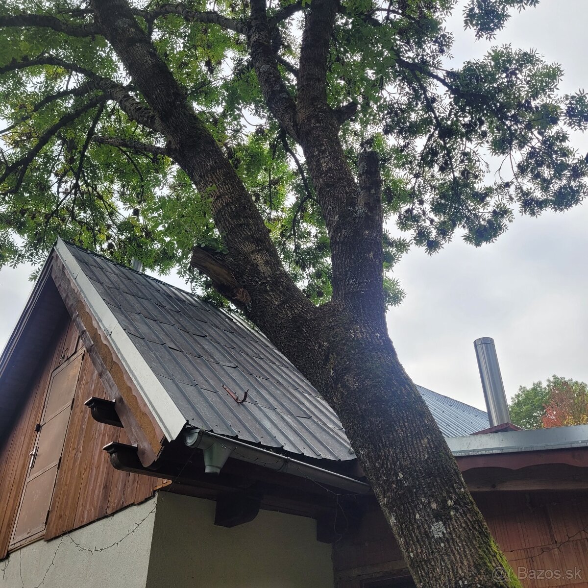 Rizikové rezanie stromov - 6