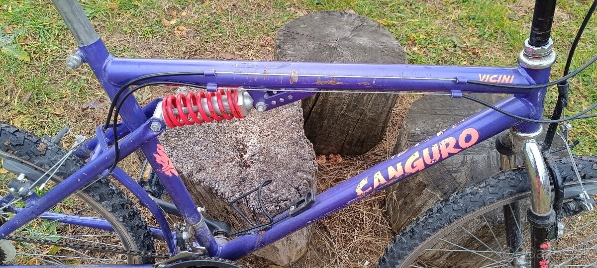 Starsi bicykel CANGURO - 6