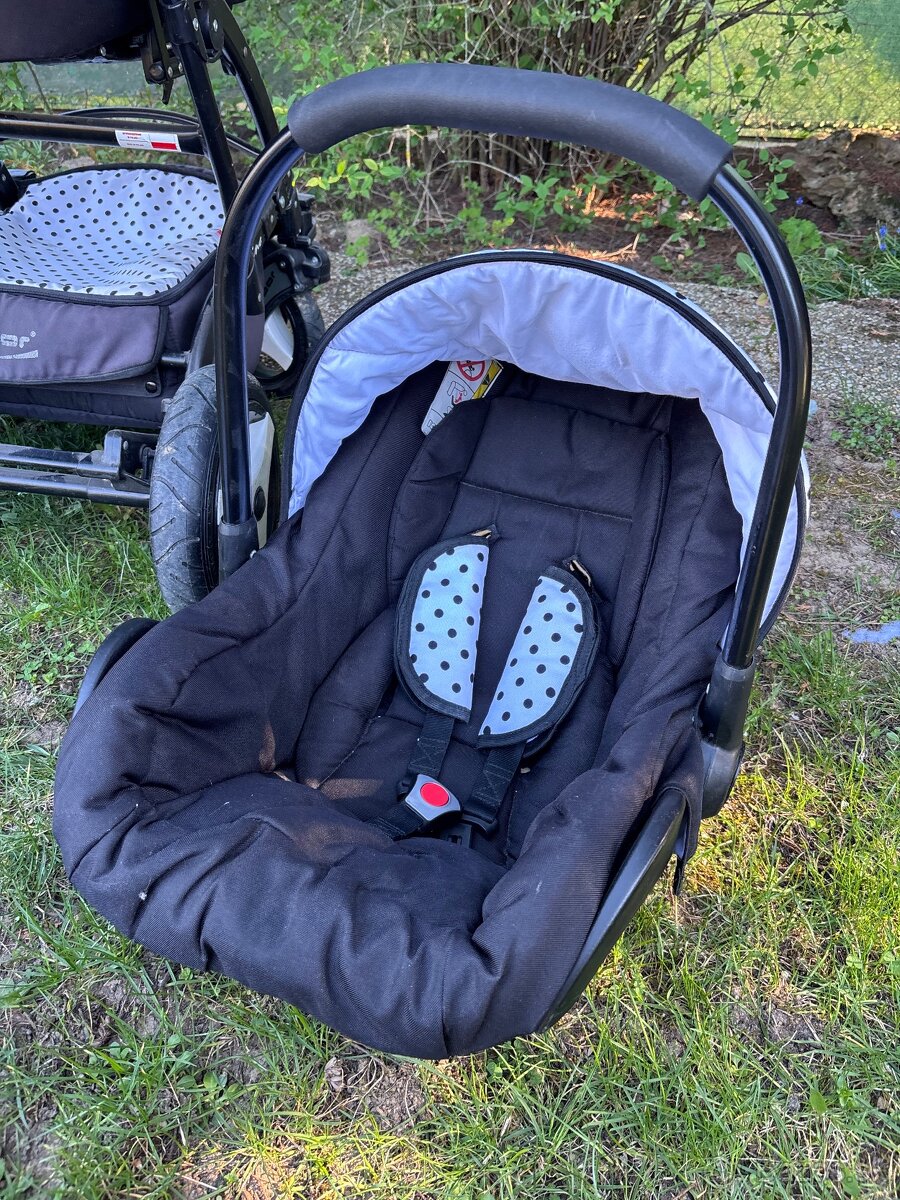 Bodkovaný kočík - 6