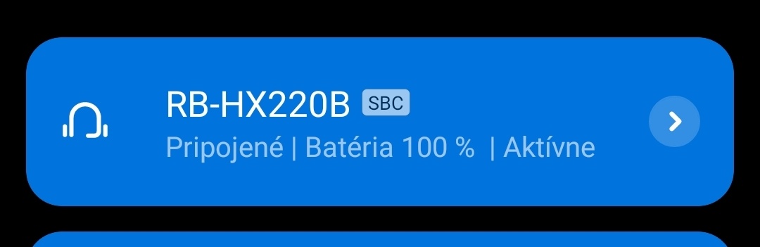 Panasonic RB-HX220BDEK - 6