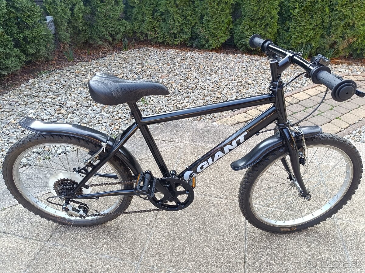 Bicykel chlapcensky 20 - 6