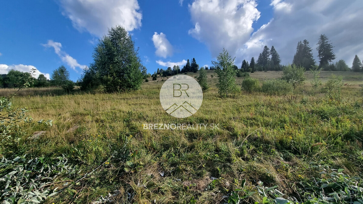 Stavebný pozemok v blízkosti lyž. strediska - Čierny Balog - 6