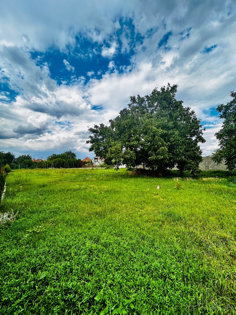 Prenájom viacerých jednotiek v Čakajovciach - 6