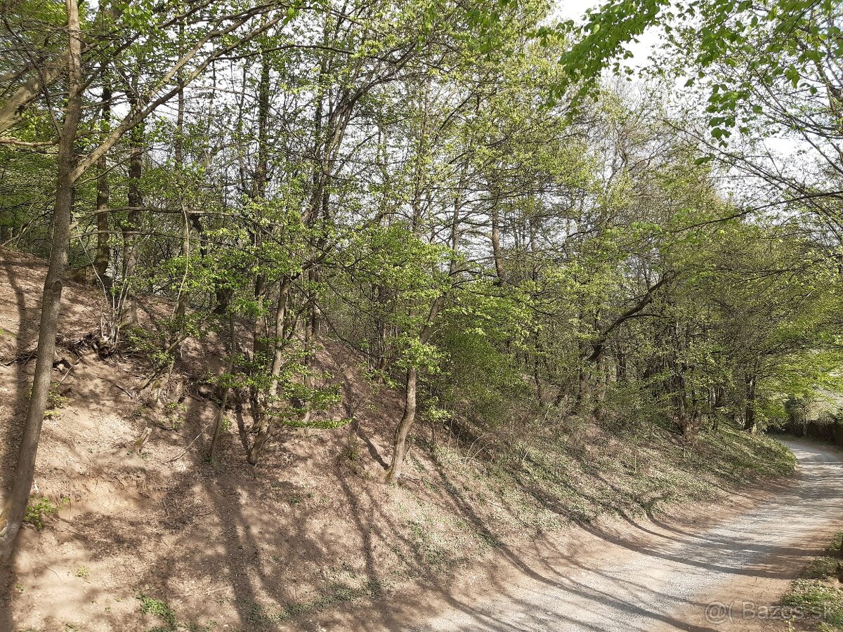 Pozemok na chatu Vyhne - 6