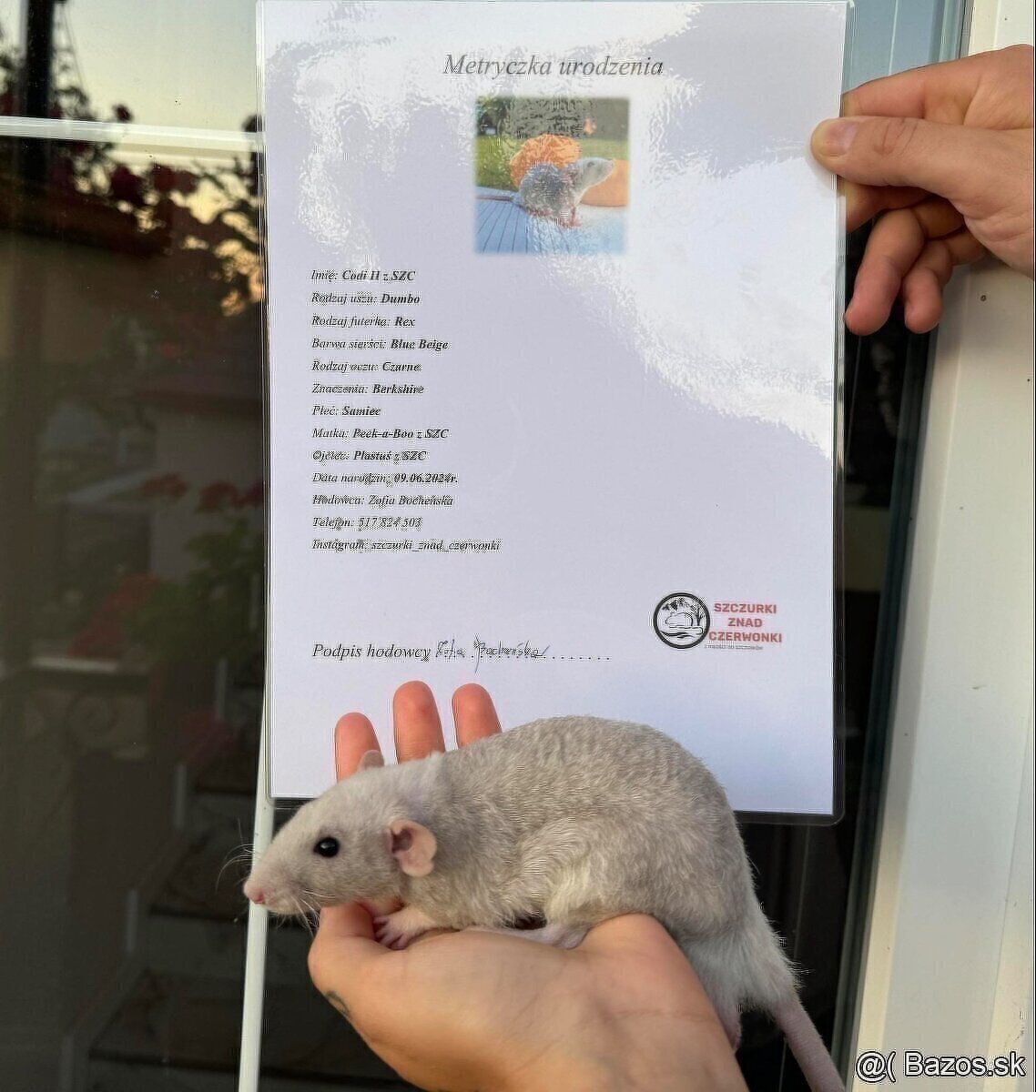 🧸 potkan, potkaníky s vp 🤎 - 6