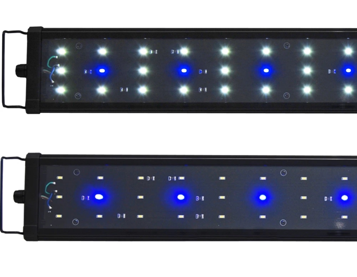 Predám Juwel Rio 350 - 6