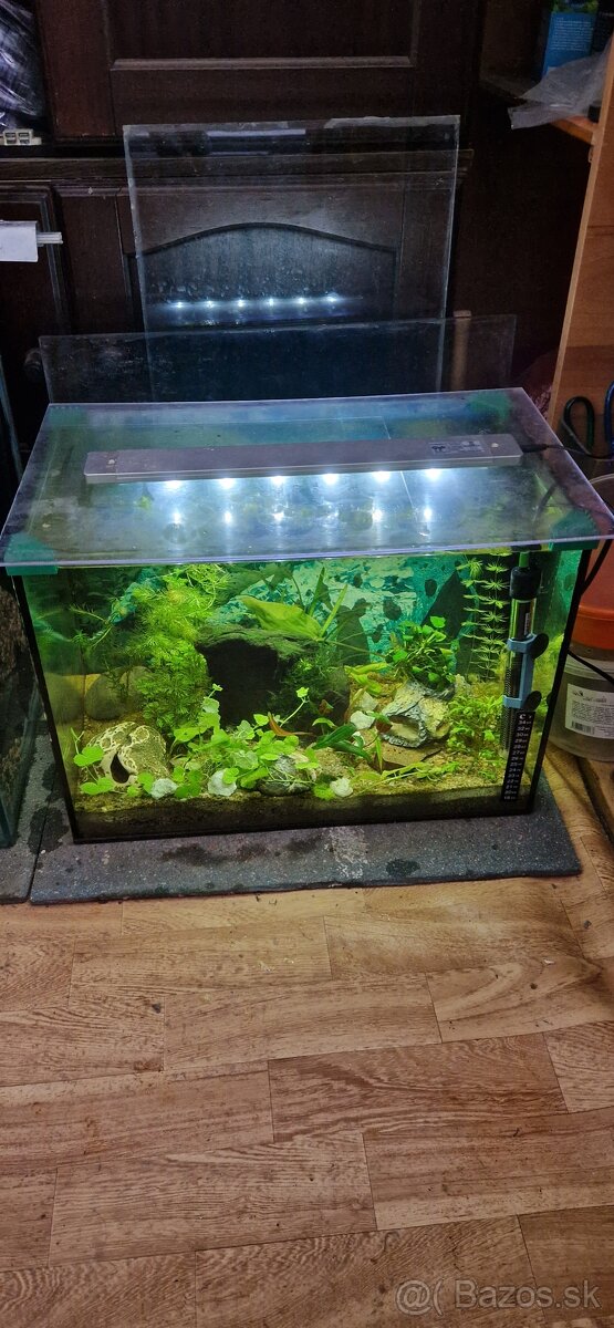 Akvárium 52 l zariadené - 6