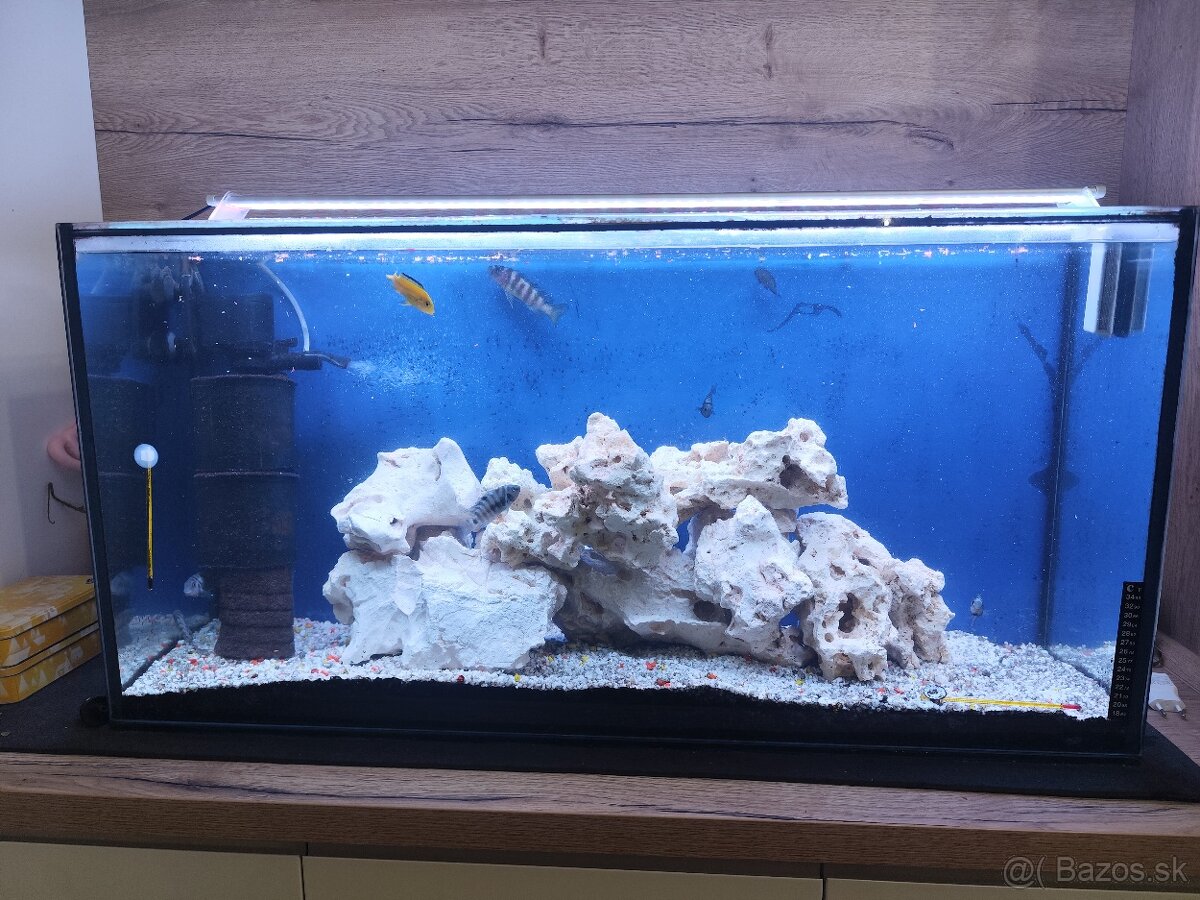 Predám akvárium - 6