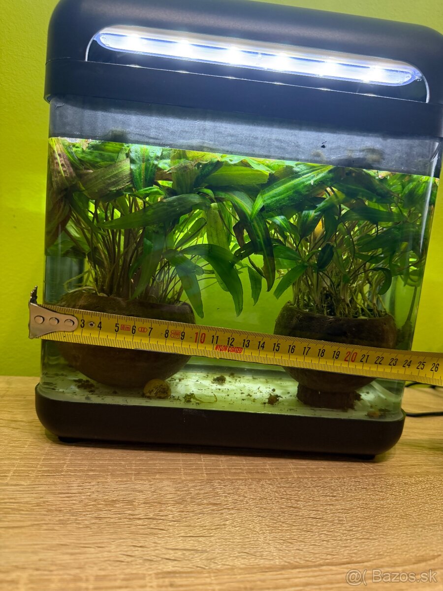 Predám akvárium 242812cm - 6