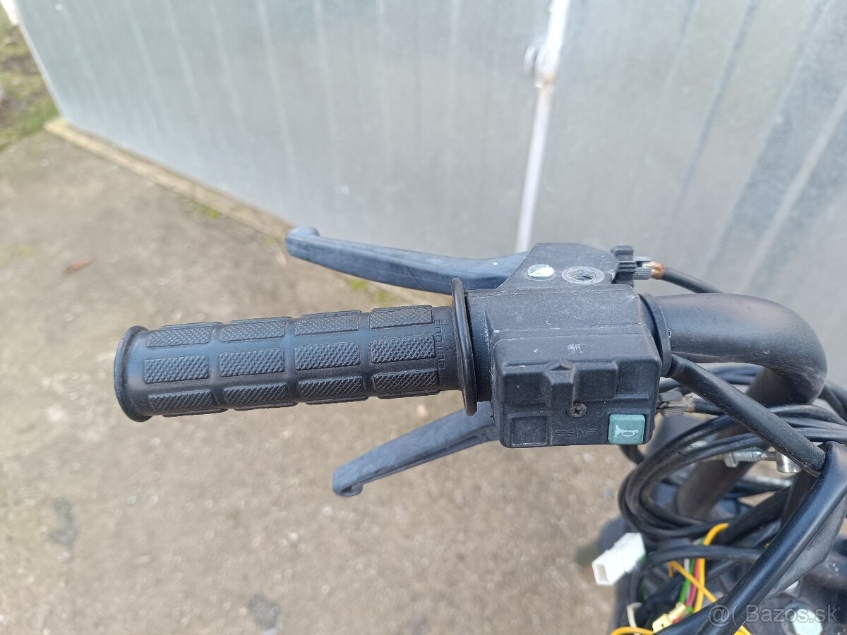 Predok manet Korado - 6