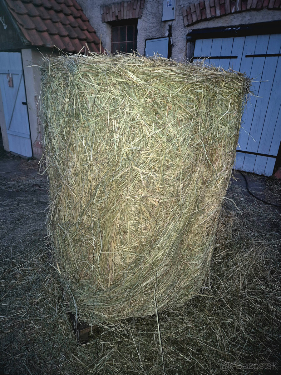 seno okrúhle balíky 130x130 - 6