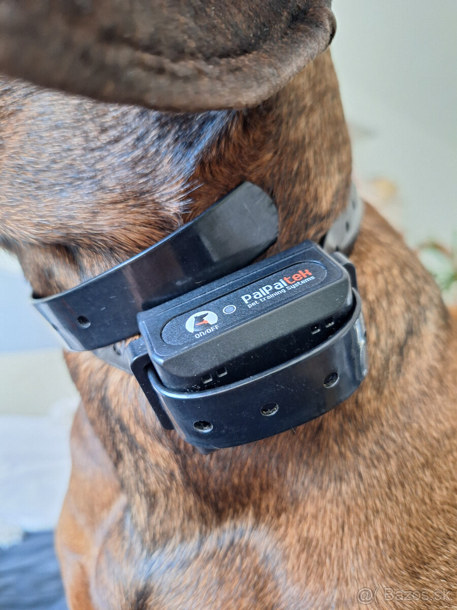 Tréningový elektrický obojok PAIPAITEK 525 - 6