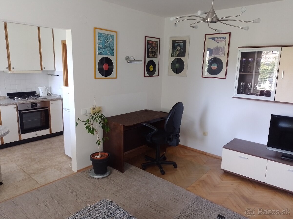 Ivanka pri Dunaji 2 izbový byt prenájom - 6
