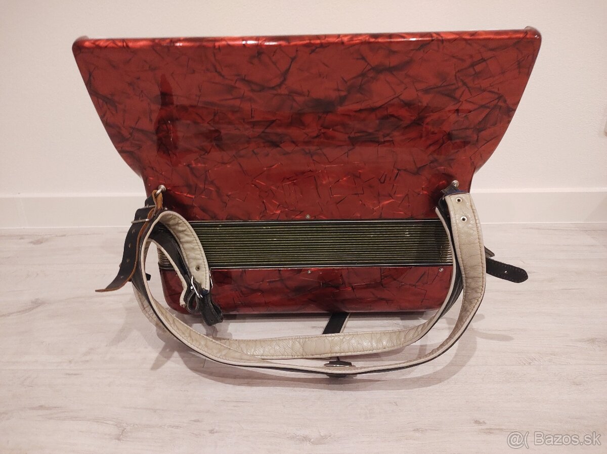 Akordeón Harmonika Delicia melodia VI 96bas - 6