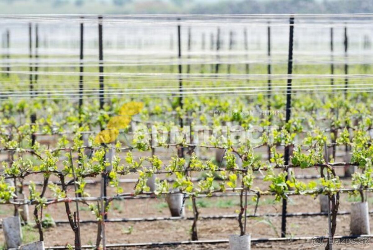 Kompozitne Roksory - 6