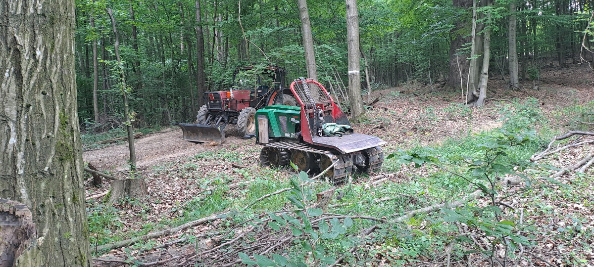Tažba dreva - 6