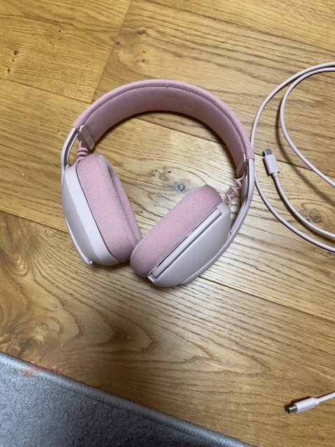 RUZOVE SLUCHATKA ( LOGI) - 6