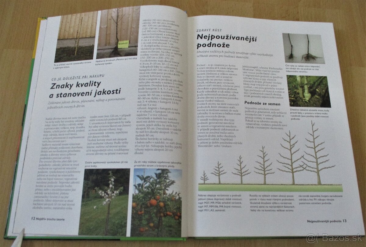 Řez ovocných stromu a keřu - 6