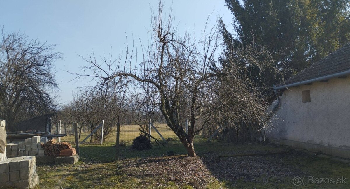 Fotografia 6