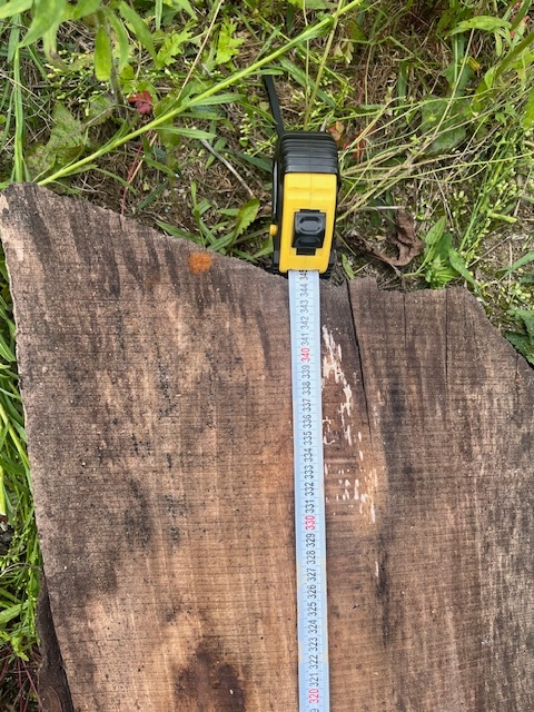 Orechové drevo - rezivo - 6