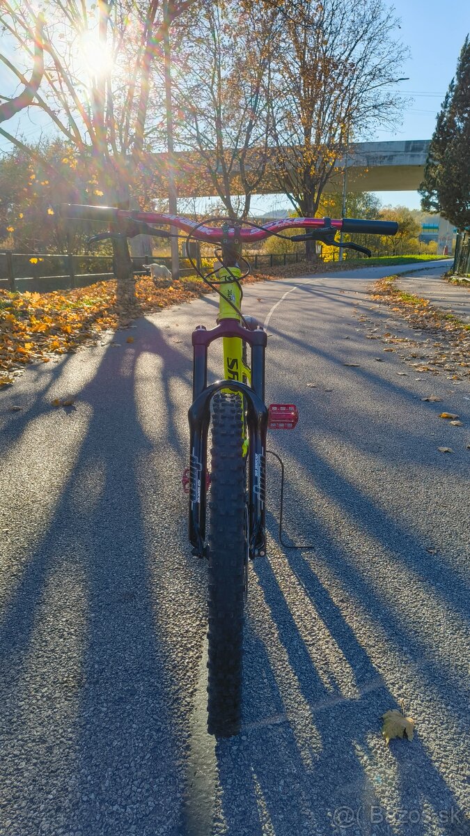 Kellys whip 10 2018 - 6