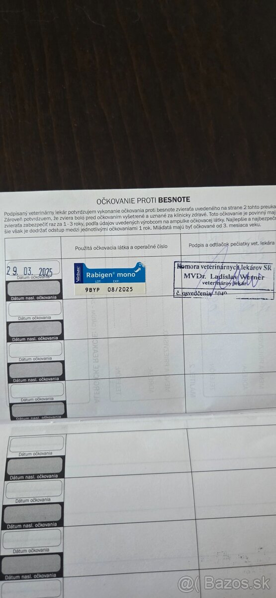 Jazvečík krátkosrtstý - 6