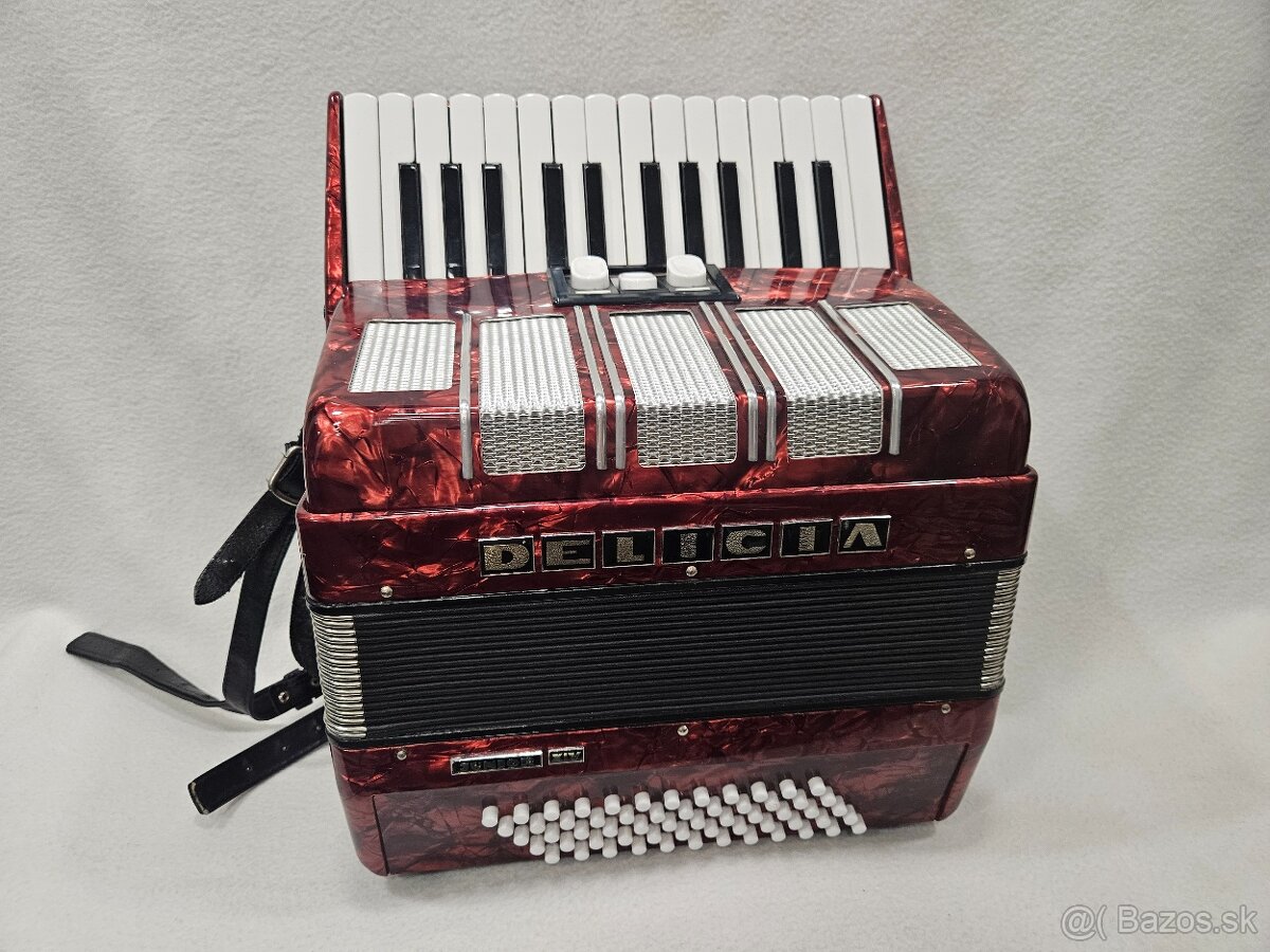 Akordeon delicia junior 60 basovy - 6