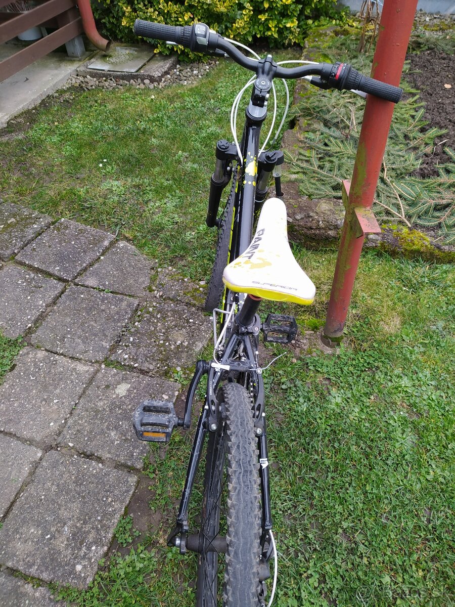 kolo, koloběžka, minikolo - 6