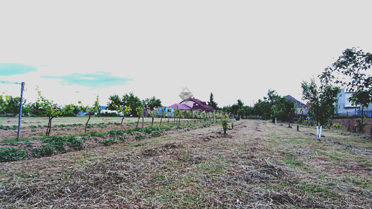 Rovinatý a slnečný pozemok v pokojnej obci Kašov - 6