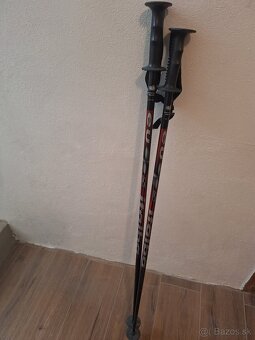 Lyže, lyžiarky, palice - 6