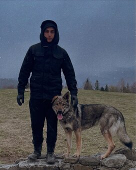 Šteniatka- Československý vlčiak - 6