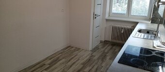 Veľký 2 izbový byt - 6