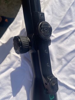 Michelitsch kozlica lux ferlach - 6