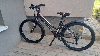 CTM MONY - 6