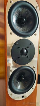 ASW genius reference 300 - 6