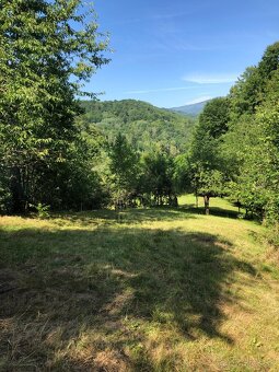 Záhrada na predaj - 6