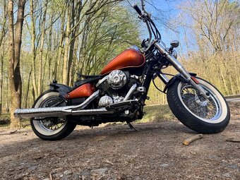 VN 800 Bobber - 6