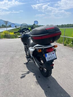 Suzuki xf 650 freewind - 6
