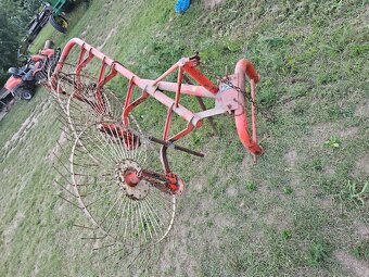 Slniečková hrabačka - 6