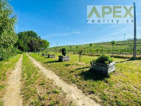 APEX reality stavebný pozemok 2019 m2 v obci Bojničky - 6