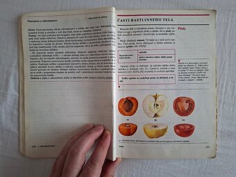 Prírodopis pre 5. ročník ZŠ (1988) - 6