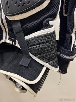 Korytnačka Oneal - 6