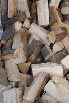 Palivové drevo - 6